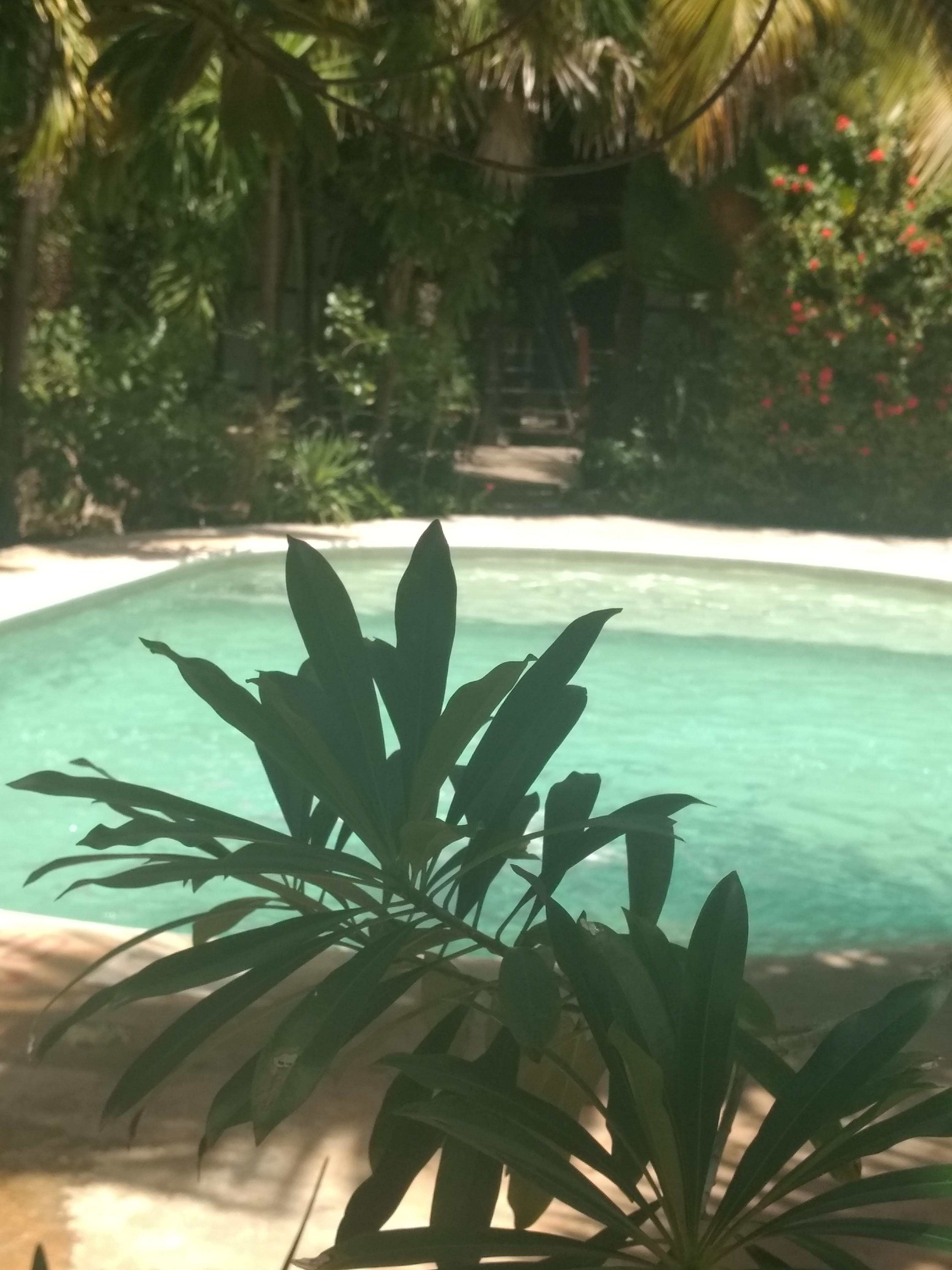 Green Tulum Cabanas & Gardens Exterior photo