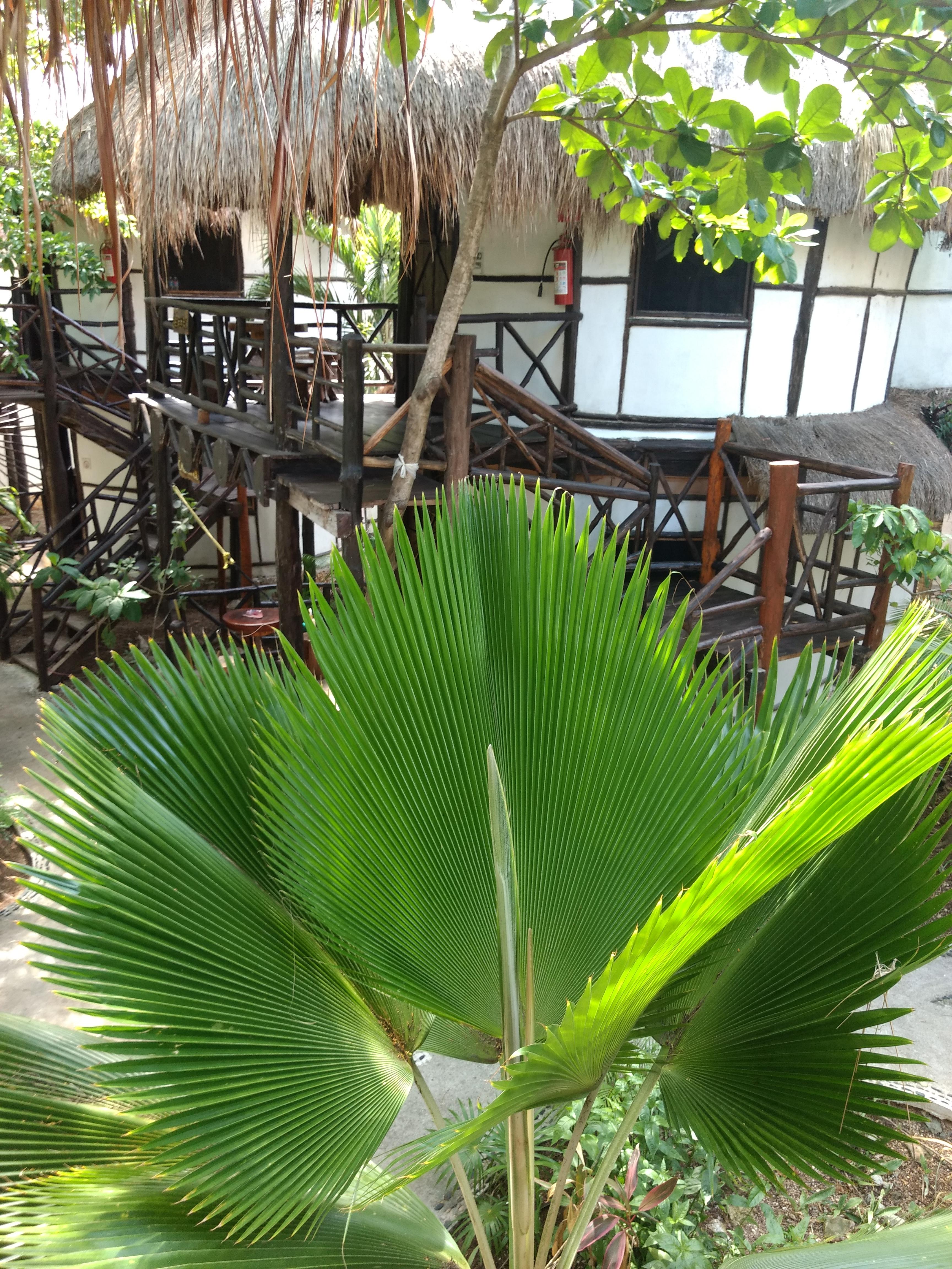 Green Tulum Cabanas & Gardens Exterior photo